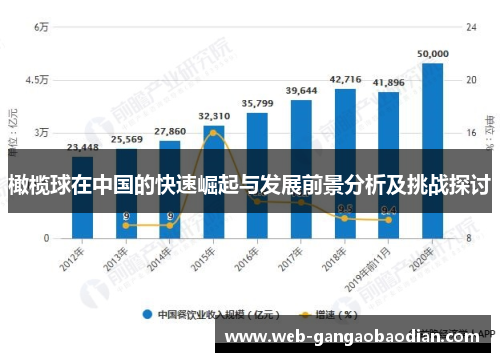 橄榄球在中国的快速崛起与发展前景分析及挑战探讨